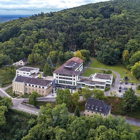 Kloster Neustadt Neustadt an der Weinstraße Eksteriør billede