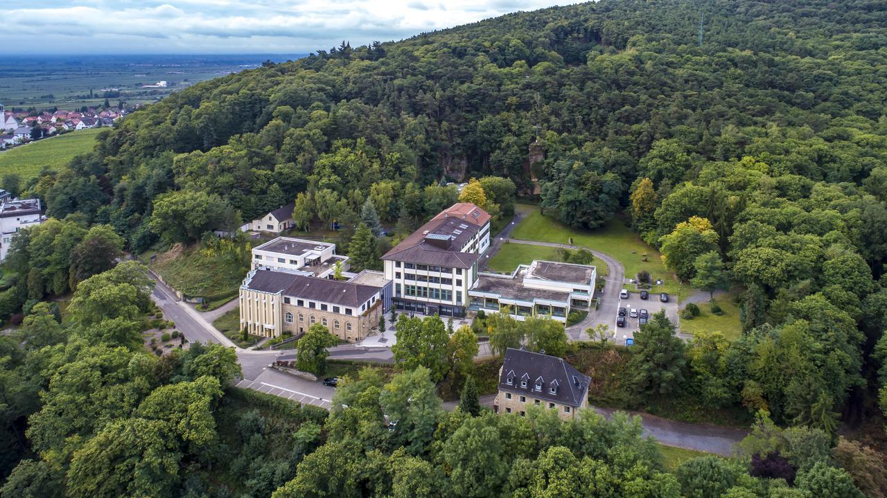 Kloster Neustadt Neustadt an der Weinstraße Eksteriør billede